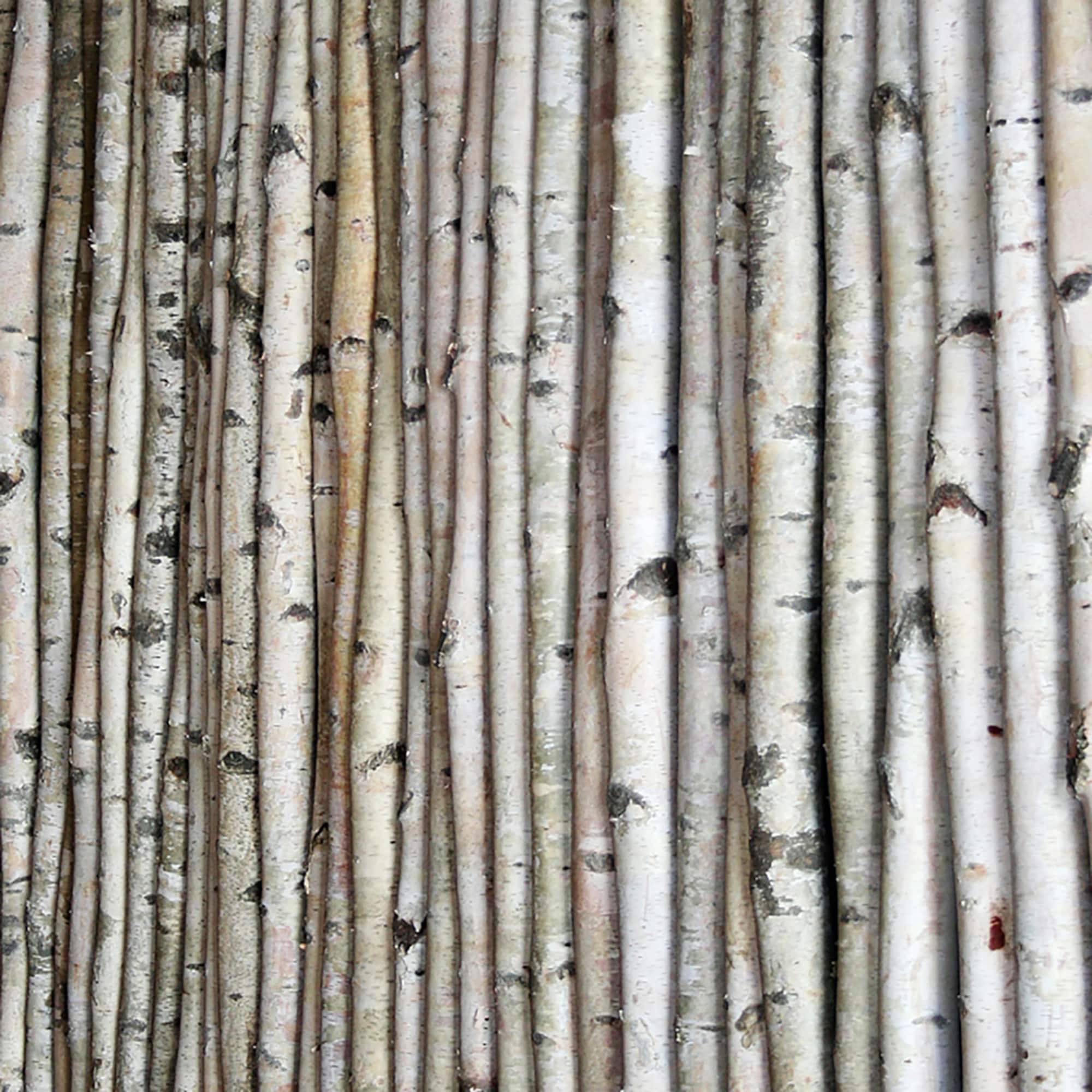 Wilson® Enterprises White Birch Poles